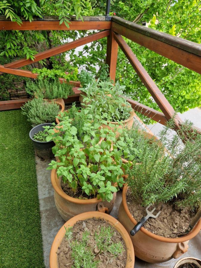 Balassi Apartment -With Green Terrace&Bike Sturovo Ngoại thất bức ảnh